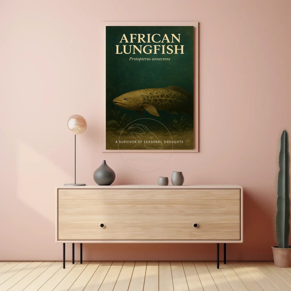 African Lungfish Illustration: Educational or Infographic Poster
