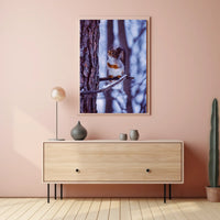 Winter Serenity Poster