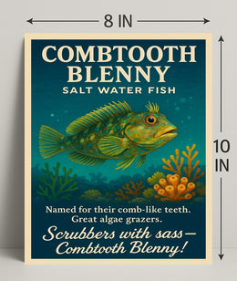 Combtooth Blenny Saltwater Fish Poster Art PosterGoat