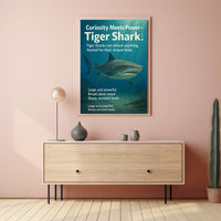 Curiosity Meets Power Tiger Shark Poster
