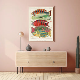Great Barrier Reef Fishes Poster