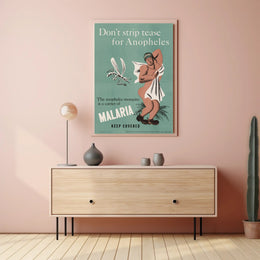Malaria Prevention Humor: Vintage Educational Poster PosterGoat