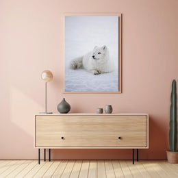 Serene Arctic Fox Tranquility Animal Poster