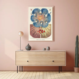 Barrier Reef Anemones Poster