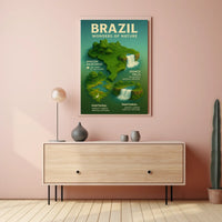 Brazil's Natural Wonders Illustrated Infographic Poster