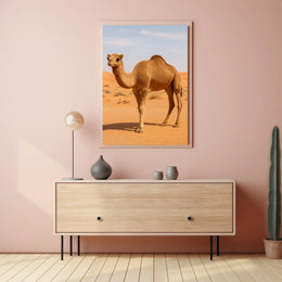 Majestic Camel in the Desert Poster
