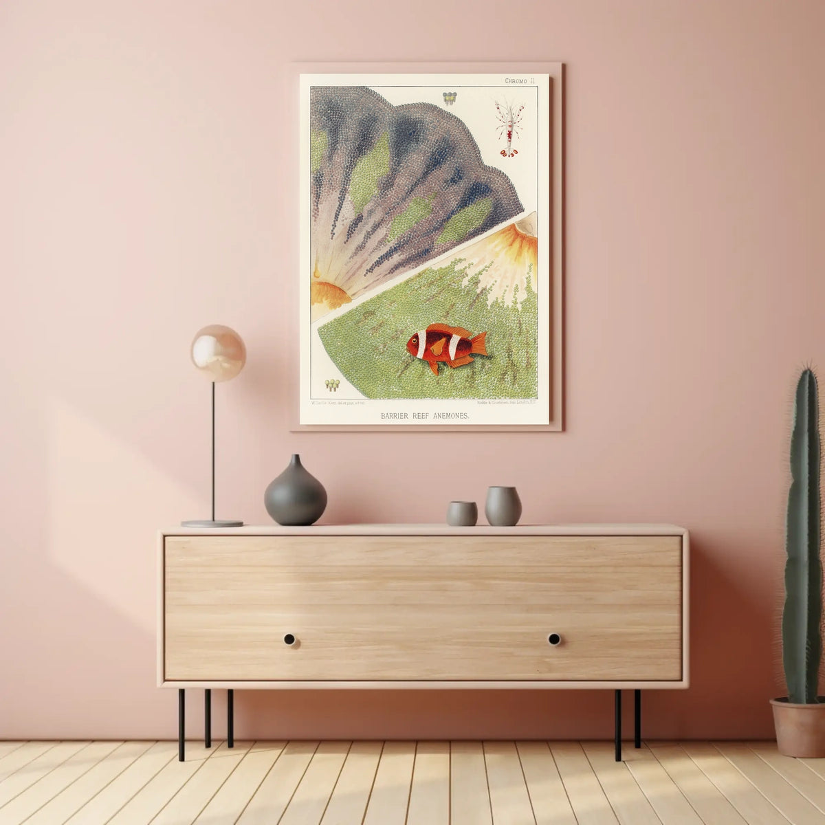 Barrier Reef Anemones Poster