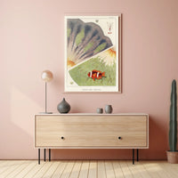Barrier Reef Anemones Poster