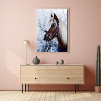 Winter Elegance Poster