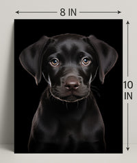 Portrait Of A Black Labrador Puppy Poster PosterGoat