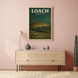 Loach Freshwater Fish Poster