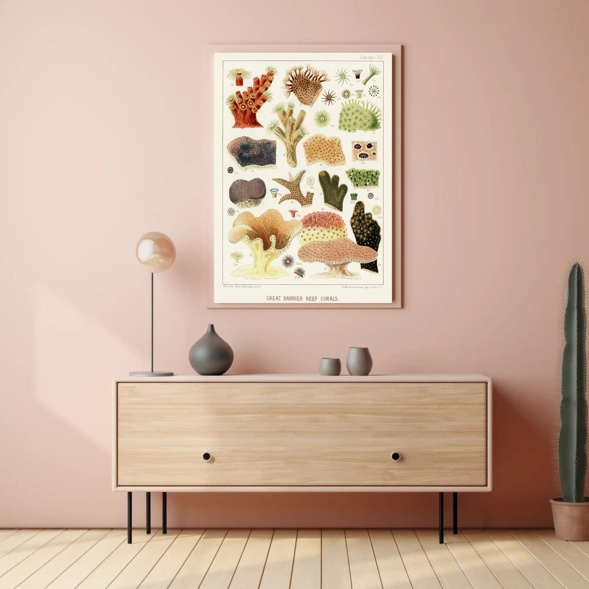 Great Barrier Reef Corals Poster