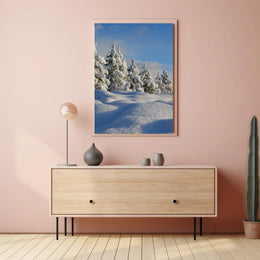 Serene Winter Landscape with Evergreen Trees National Park Poster