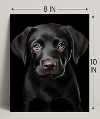 Portrait Of A Black Labrador Puppy Poster