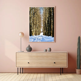 Winter Pathway Poster