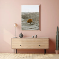 Solitary Autumn Tree Poster
