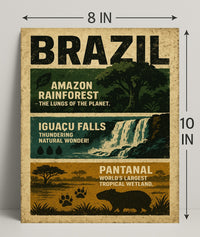Wonders of Brazil Poster PosterGoat