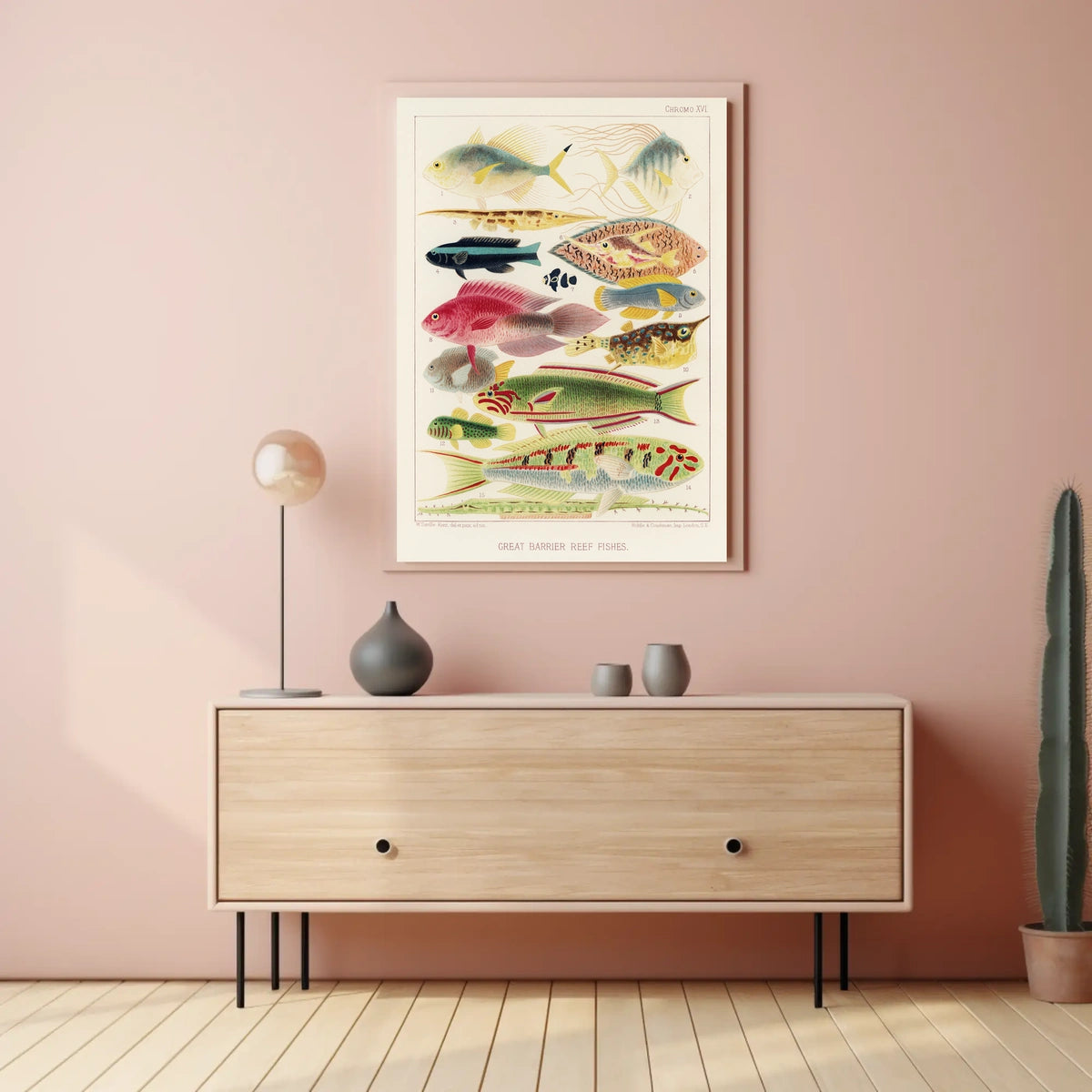 Great Barrier Reef Fishes Poster