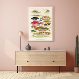 Great Barrier Reef Fishes Poster