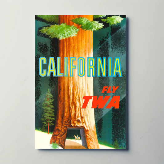 1950s TWA California Redwoods Drive Thru Tree Travel Poster