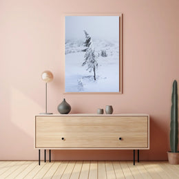 Solitary Snow-Covered Tree Poster