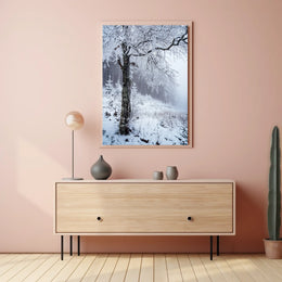 Winter Serenity Poster