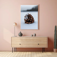 Pine Cone In Snow Poster