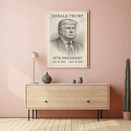 Donald Trump 47th President Poster