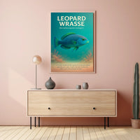 Leopard Wrasse A Vibrant Reef Poster