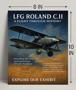 LFG Roland C.II A Flight Through History Poster PosterGoat