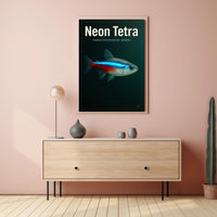 Neon Tetra Paracheirodon Innesi Poster PosterGoat