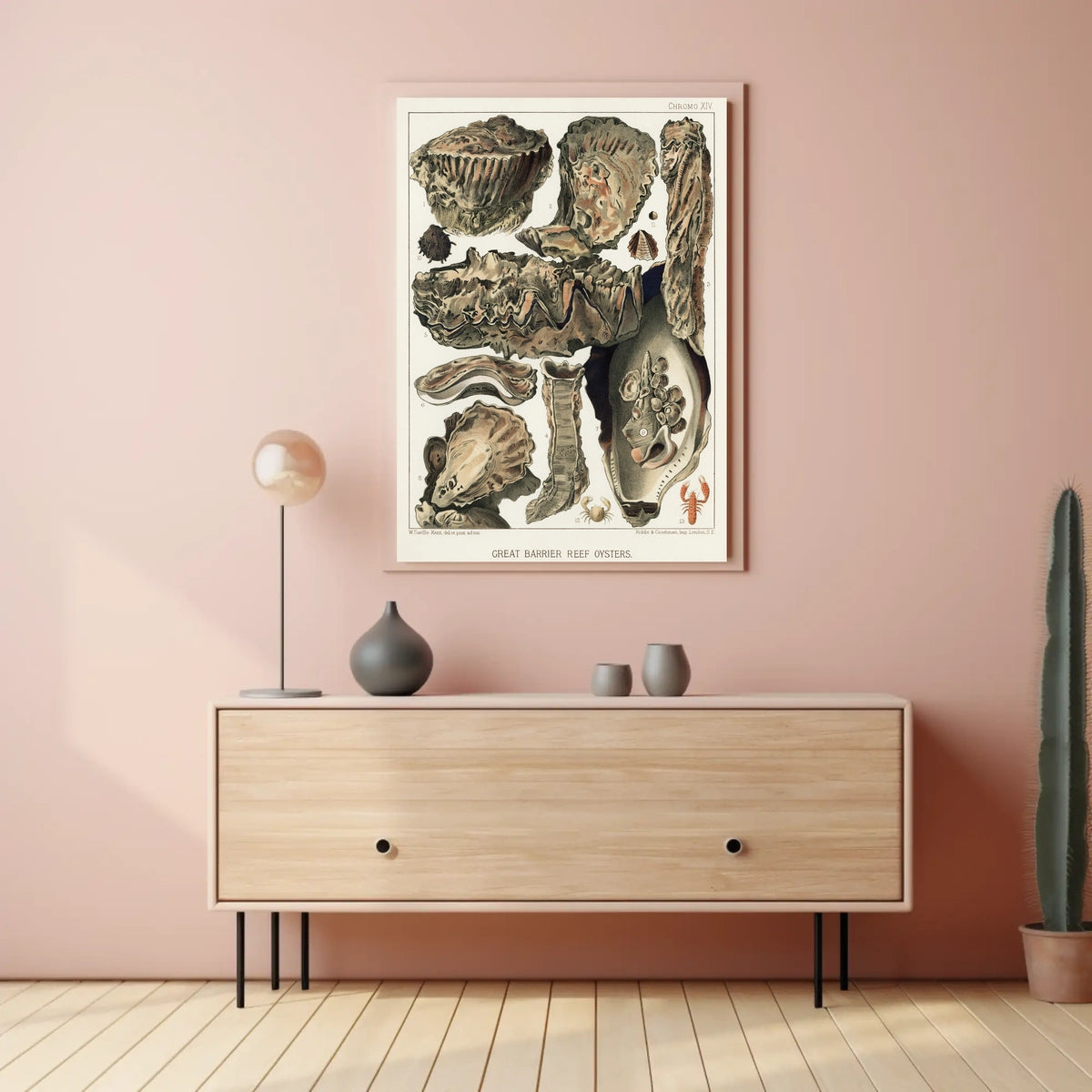 Great Barrier Reef Oysters Poster