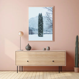 Winter Serenity Poster