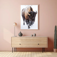 Majestic Bison in Winter Poster