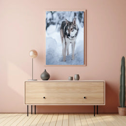 Winter Wolf In The Snow Poster