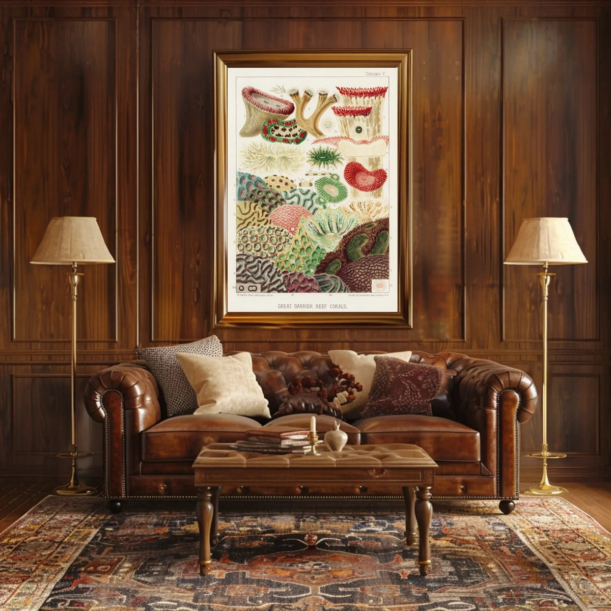 Great Barrier Reef Corals Poster