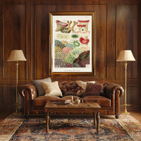 Great Barrier Reef Corals Poster