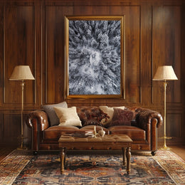 Winter Aerial Snowy Forest Scene National Park Poster