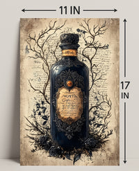 The Enchanted Elixir Poster