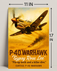 Gypsy Rose Lee P-40 Warhawk Poster PosterGoat