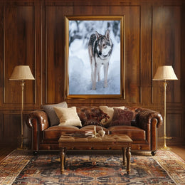 Winter Wolf In The Snow Poster