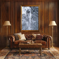 Winter Wonderland From Above Poster