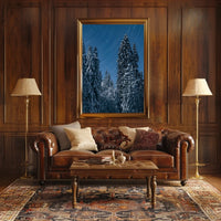 Winter Night Skies Poster