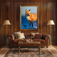 Majestic Fox In The Wild Poster