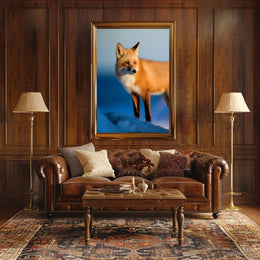 Majestic Fox In The Wild Poster