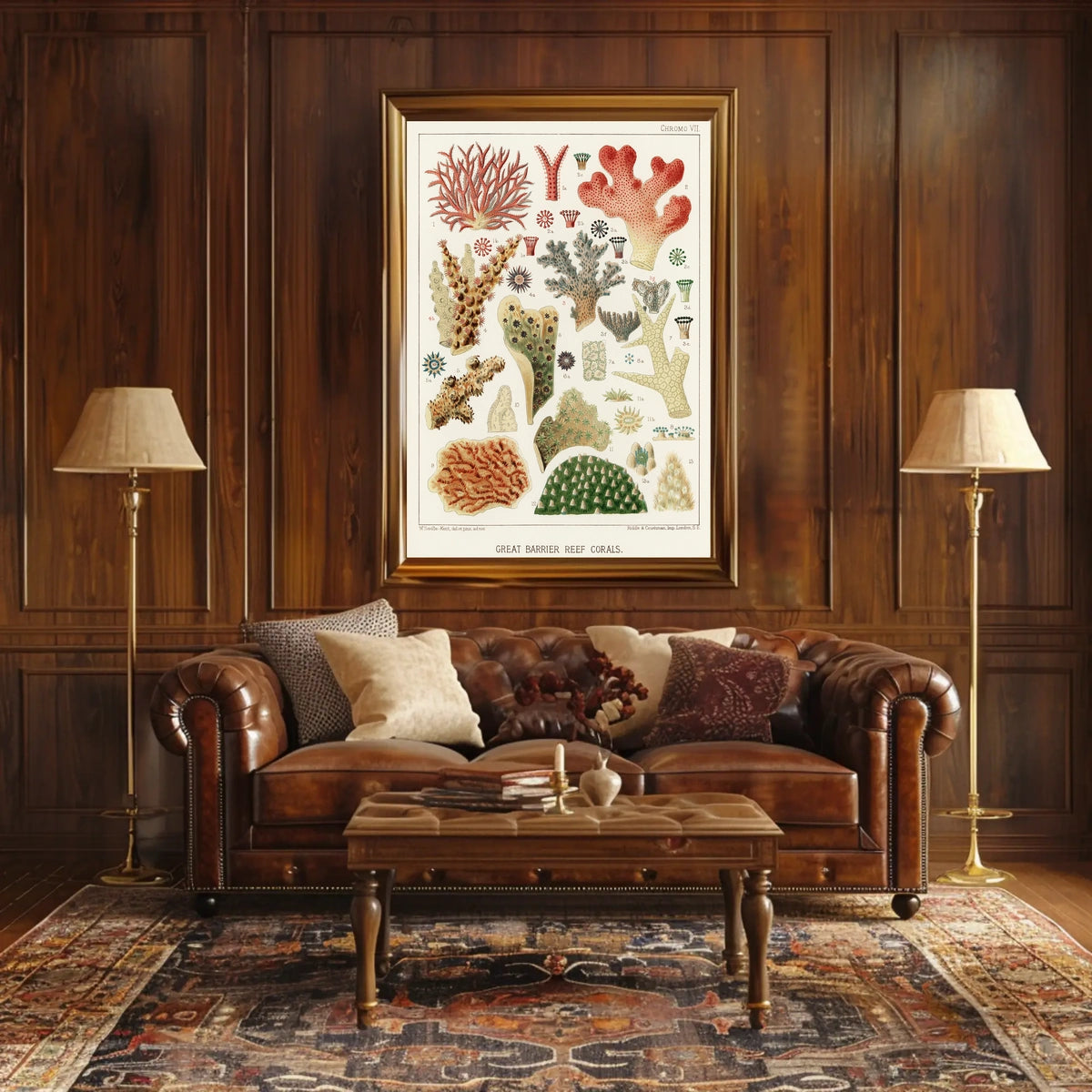Great Barrier Reef Corals Poster