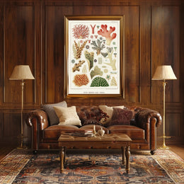 Great Barrier Reef Corals Poster