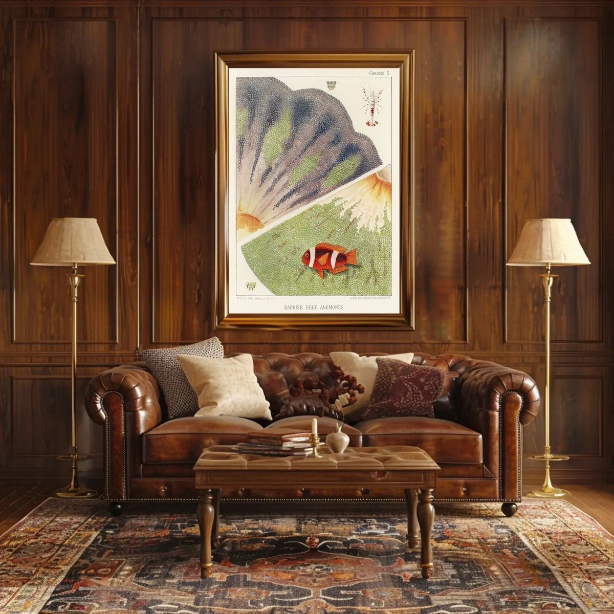 Barrier Reef Anemones Poster