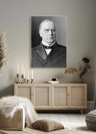 Wiliam McKinley 25th President Of The United States Photo