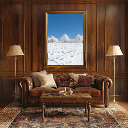 Winter Tranquility: Nature's Beauty in National Park Poster